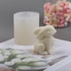 thumbnail image 2 of Advancent Molde de pastel de de Animal, molde de repostería, moldes para hornear Chocolate Sugarcraft, herramienta para hornear, cocina, Artesanía, 2 of 6
