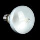 thumbnail image 3 of Uva+uvb Reptile Lamp for Turtles Lizards and Amphibians with Temperature Controller, 3 of 5