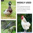 thumbnail image 3 of unbranded 2Ud Comedero Para Gallinas De Plástico Resistente Con Limpieza Sencilla Y Sin Rebabas, 3 of 7