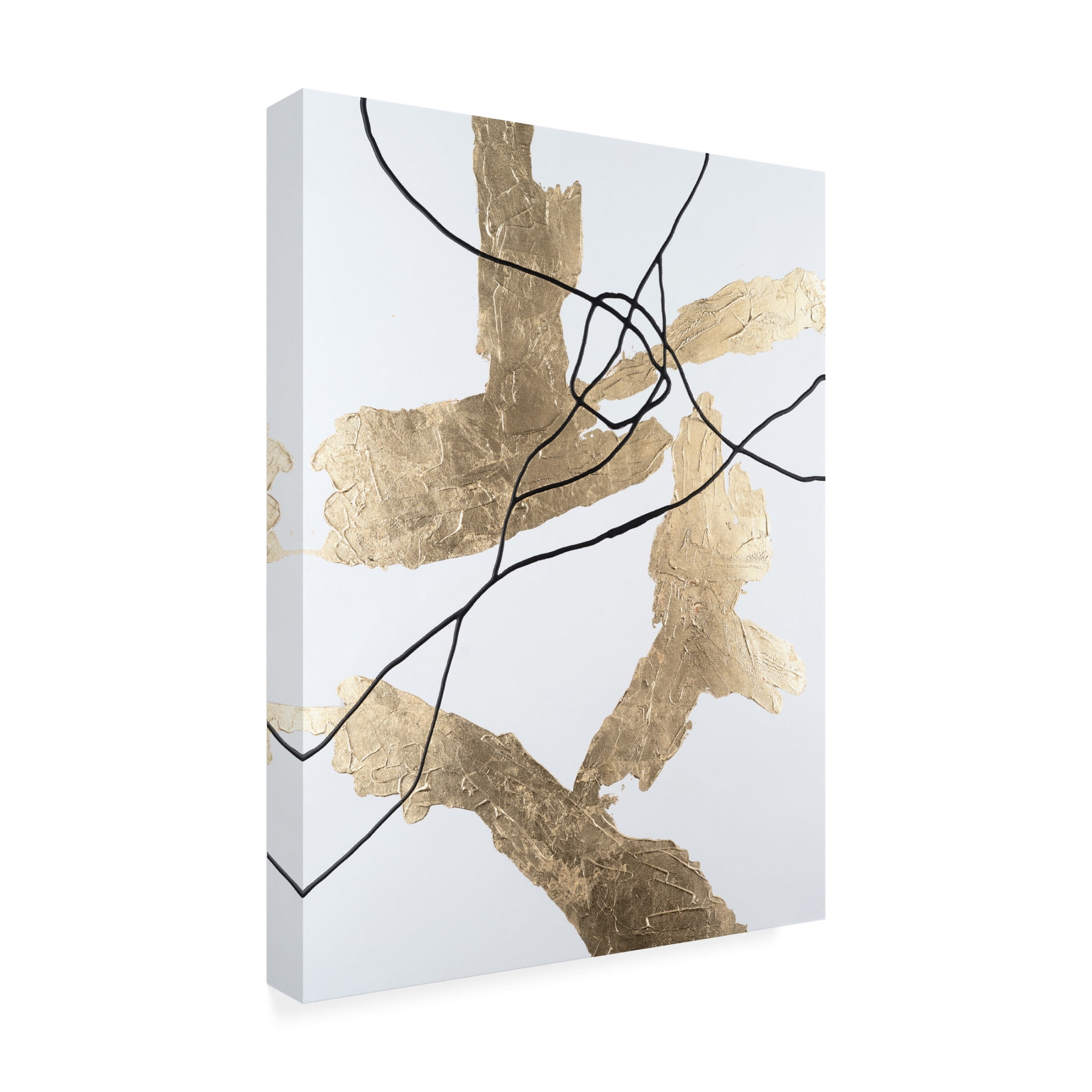 Trademark Fine Art Michael Willett Gold Vein I Canvas Wall Art