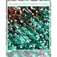 thumbnail image 7 of CARETOO Girls' Sequin Bomb Jacket Shiny Set Long Sleeved Zipper Bright Color for Girls' Kid Birthday Concert Varsity Jacket, 7 of 7
