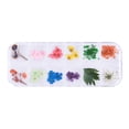 thumbnail image 1 of 12 Colores de Flores Secas de Uñas 3D de Uñas para Puntas Decoración de Manicura - Flor de Flor de cinco hojas, 1 of 9