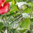 thumbnail image 3 of 100 Línea de corbata botánica de jardín verde multiusos Línea de corbata de hueso de pescado de jardinería Rojo Verde, 3 of 5