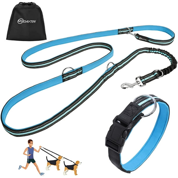 6 in clearance 1 dog leash