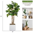 thumbnail image 1 of Vintage Home Artificial Faux Fig Tree 67" Large Fake Plant Real Touch for Indoor Home and Office Accent Décor with Stylish Fiberstone Planter, 1 of 1