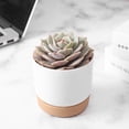 thumbnail image 5 of Farfi Flowerpot Small Lightweight Fashion Succulent Green Plant Pot Double-layer Flowerpot for Home (White,L), 5 of 13