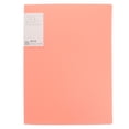 thumbnail image 1 of MasteelfCA Insert de Dossier A4 Dossier 20 Pages Livret d'Information Papier de Test (Rose), 1 of 7
