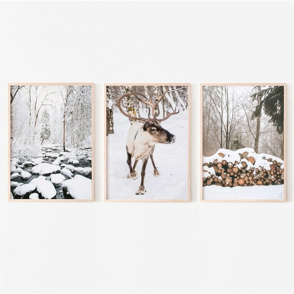 Luvia Winter 3 Piece, Reindeer Photography, Gallery Set, Snowy Landscape Set, Nordic, Modern Wall Decor Set 3 Prints 8x12 UNFRAMED