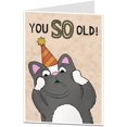 thumbnail image 1 of Funny Cat Birthday Card You So Old, 1 of 1