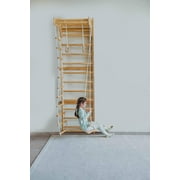 Betula Swedish Wall Ladder