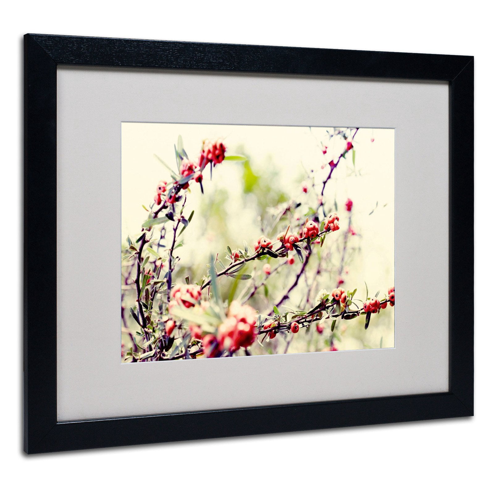 Trademark Fine Art "Summer Melody" Framed Canvas Art by Beata Czyzowska Young