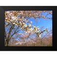 thumbnail image 2 of Frances, Stephanie 14x12 Black Modern Framed Museum Art Print Titled - Sudden Blossom 1, 2 of 5
