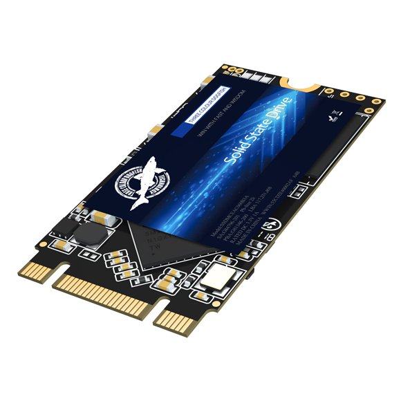 Dogfish M.2 2242 SSD 2TB 3D NAND QLC SATA III 6 Gb/s, Internal Solid State Drive - Compatible with Desktop PC Laptop (M.2 2242 2TB)