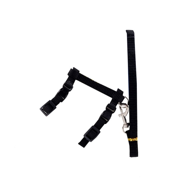 Billuyoard Correa para caminar para mascotas, collar con hebilla ajustable de Color sólido, arnés Flexible, accesorio de repuesto portátil Suministros para gatos Negro
