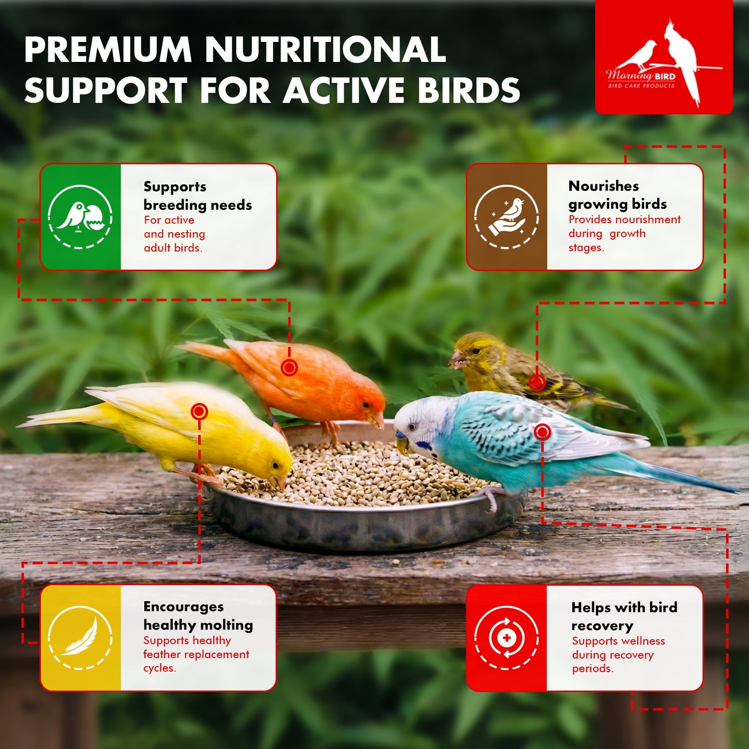 Morning Bird Hemp Seeds 18 lbs (2-Pack, 9 lbs Each) –  Bird Food for Parrots, Canaries & Finches – Natural Hemp Seed for Daily Nutrition