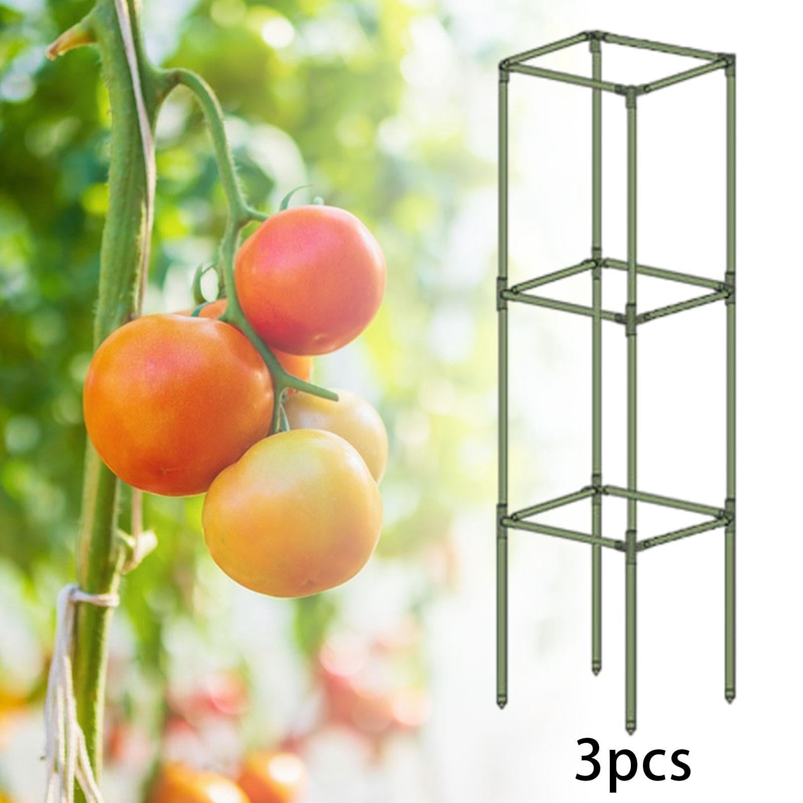 Aymzbd 3Pcs Square Tomato Cages Vegetable Stake Trellis Versatile Plant Stakes Support