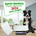 thumbnail image 2 of Forros de pañales para perros JOCCIK, supersuaves y absorbentes, 150 unidades, 2 of 6