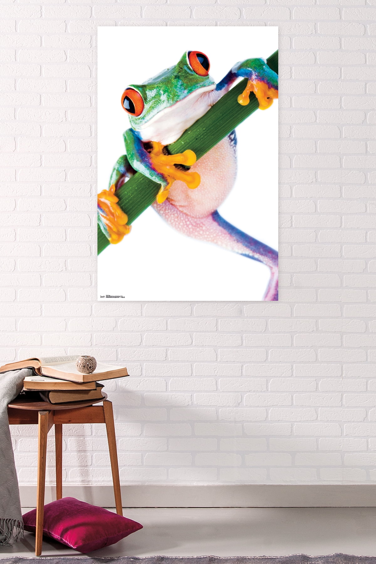 Tree Frog Wall Poster, 22.375" x 34"