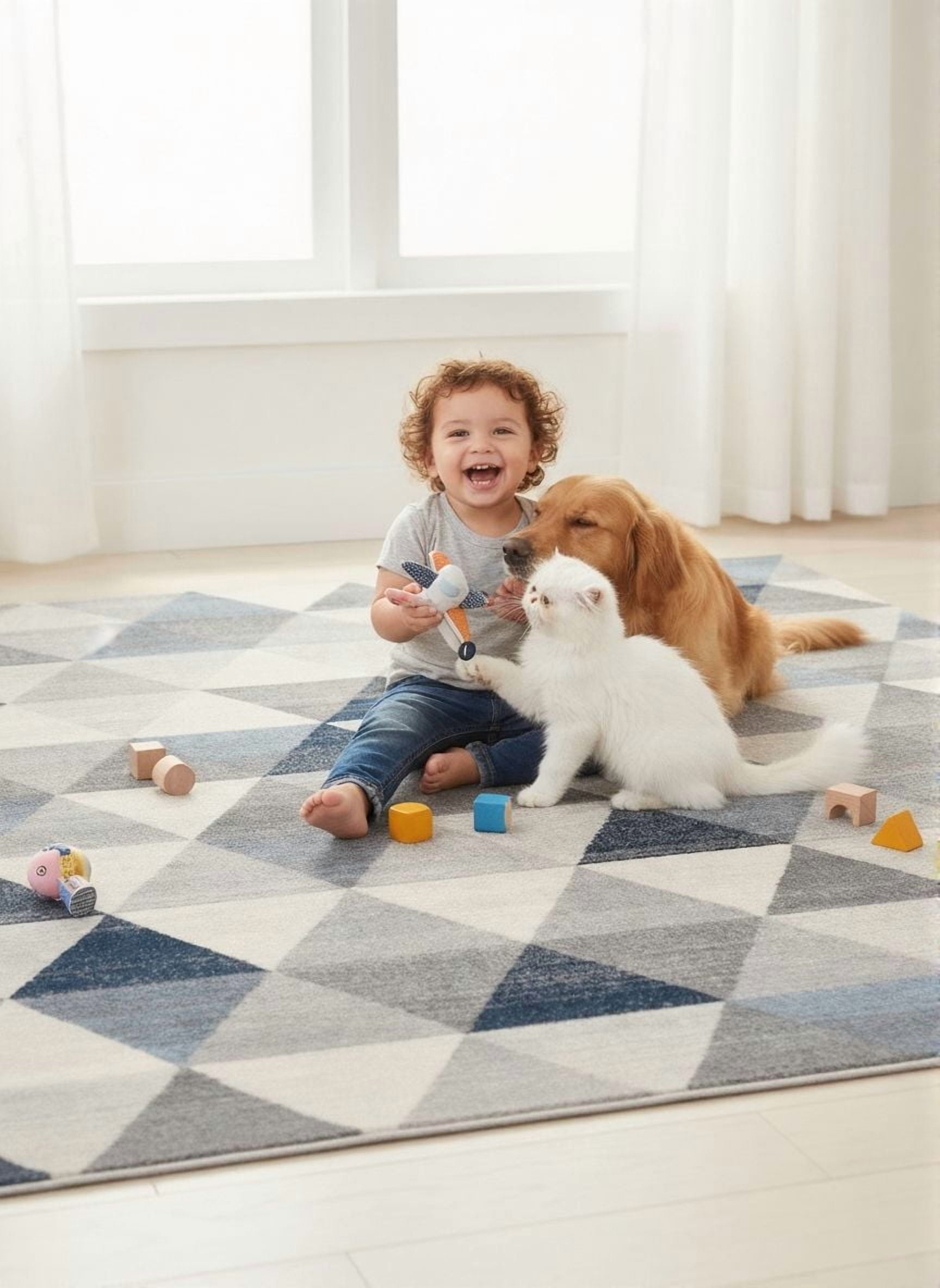 Rug Branch Havana Collection Traditional Geometric Area Rug