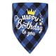 thumbnail image 4 of Accesorios para fiestas de cumpleaños de mascotas Sombrero de perro Pajarita Bufanda Triángulo Tirar Bandera Globo Set Decoración para fiestas Atrezzo, 4 of 5