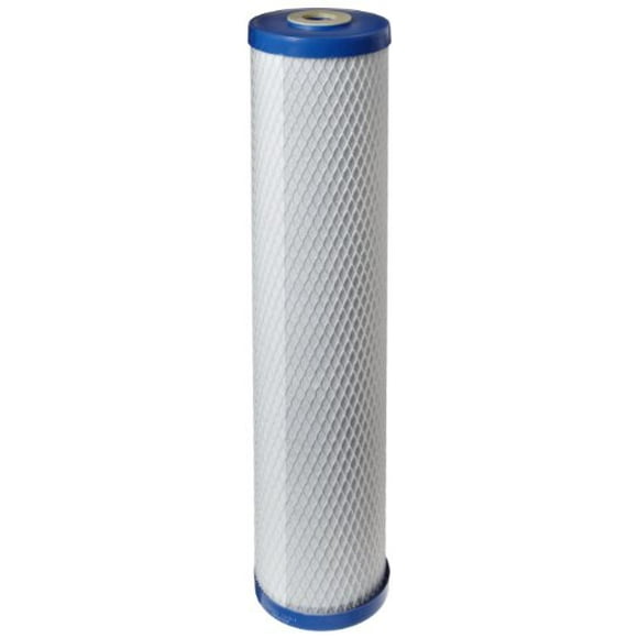 Pentair Pentek EP-20BB Big Blue Carbon Water Filter, 20-Inch, Whole House Carbon Block Cartridge with Bonded Powered Activated Carbon (PAC) Filter, 4.5” x 20", 5 Micron