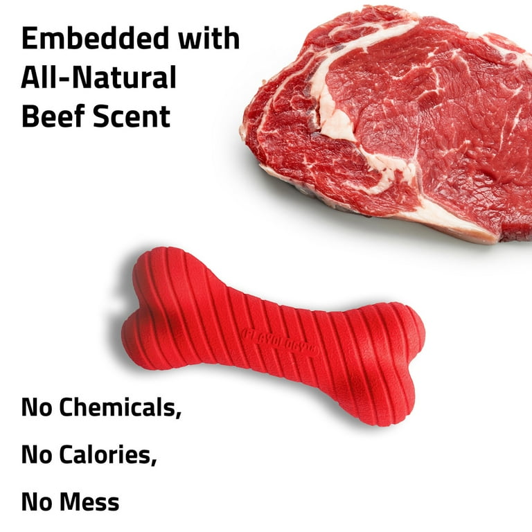 Playology Dual Layer Bone Beef Scented Dog Toy Playology Dual Layer Bone Beef Scented Dog Toy