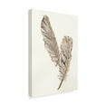 thumbnail image 2 of Trademark Fine Art 'Gold Feathers VIII' Canvas Art by Chris Paschke, 2 of 3
