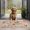 Bulldog Dog and, variant on Chihuahua and Flower Florals Door Rugs,Washable Non Slip Door Mats Indoor,Decorative Door Mats,Entry Mat Indoor for Entrance,Bedroom,Kitchen,Bathroom,17"x30"