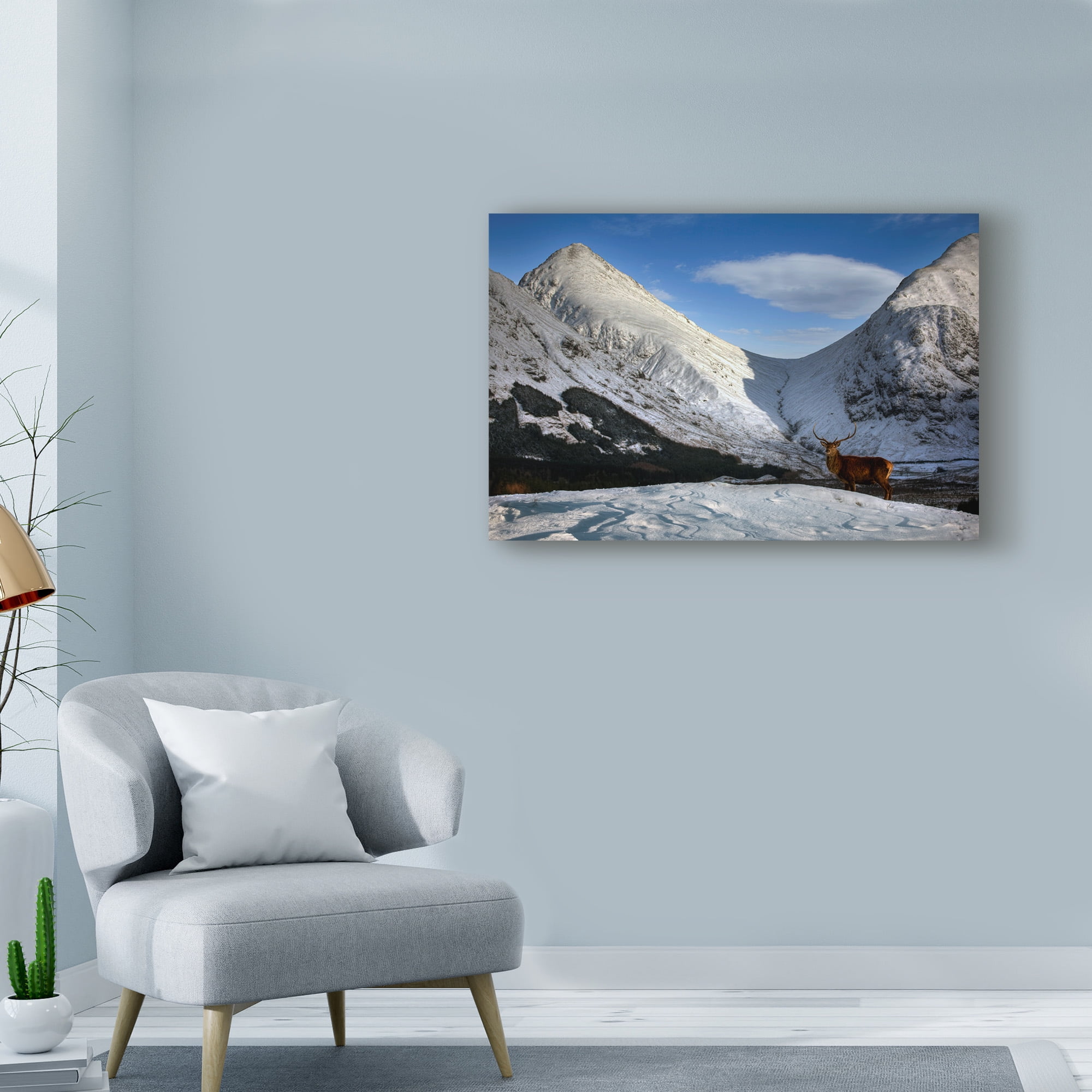 Trademark Fine Art 'Scotland 5' Canvas Art by Maciej Duczynski