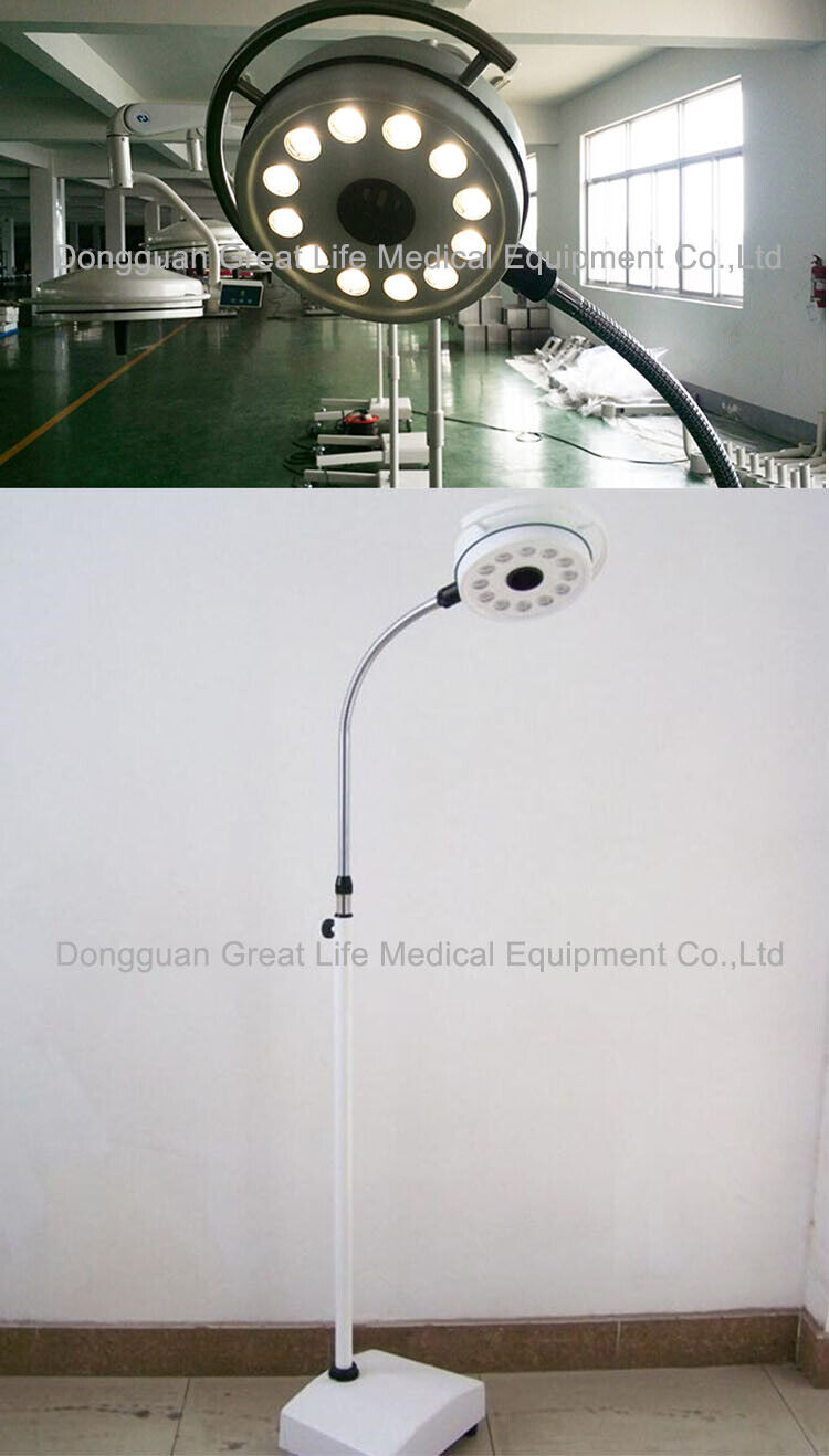 GreatLife Dent USA Stock 36W 12Led Mobile Examination Light Shadowless Surgical Medical Lamp Operating FDA