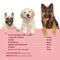 thumbnail image 6 of Special Breed Cardio Support for Dogs - Heart Health Support with Taurine, CoQ10, Organic Hawthorne Berry, Powder Supplement, 240 Scoops, 6.28 oz, 6 of 8