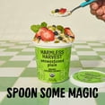 thumbnail image 5 of Harmless Harvest Organic Coconut Yogurt, Dairy Free, Plain, Unsweetend, 5 of 12