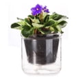 thumbnail image 1 of Maceta de Riego Automático 4 Pulgadas, para Violeta Africana, Jardinera Vidrio con Inferior Plantas Interior y Propagación., 1 of 5