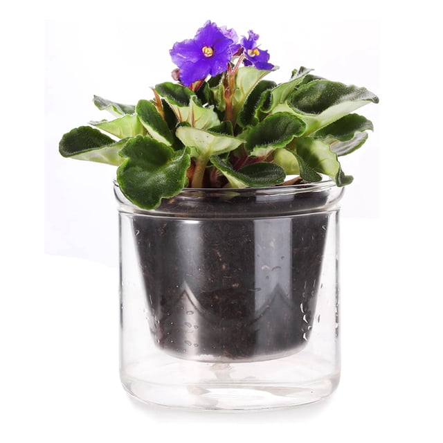 Maceta de Riego Automático 4 Pulgadas, para Violeta Africana, Jardinera Vidrio con Inferior Plantas Interior y Propagación.