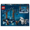 thumbnail image 4 of Set LEGO Harry Potter Bosque Prohibido: Criaturas Mágicas 76432, 4 of 4