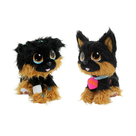 Rescue Runts German Shepherd