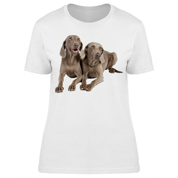 2 Weimaraner Dogs Laid Down T-Shirt Women -Image by Shutterstock, Female XX-Large