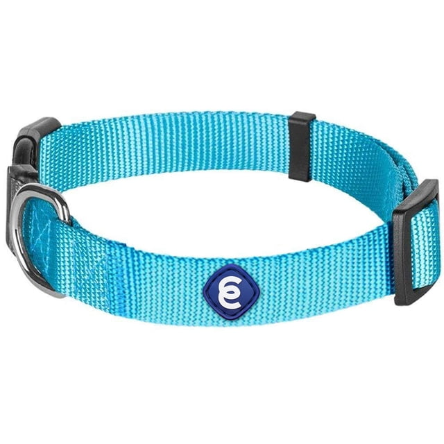 Blueberry Pet Essentials Collar Clásico Para Perro De 22 Colores, Color Turquesa, Cuello Pequeño, Collares De Nailon De 8 A 11 Pulgadas Para Perros