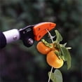 thumbnail image 4 of Seyurigaoka Long Handle Telescopic Fruit Picker, Practical Tree Reach Pruner, 4 of 6