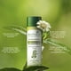 thumbnail image 4 of Aceite capilar Biotique Bio Bhringraj Fresh Growth 200 ml, 4 of 4