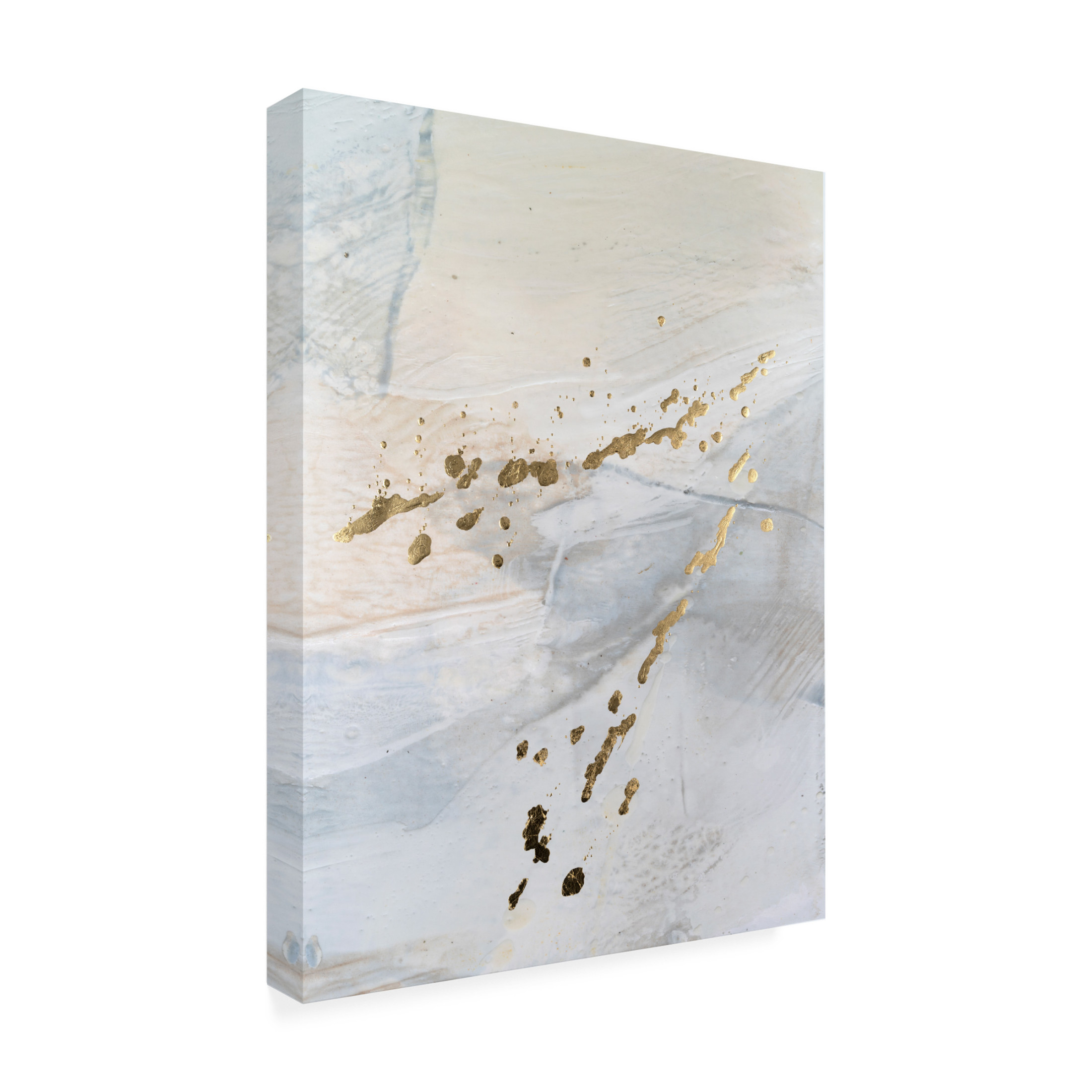 Trademark Fine Art Sue Jachimiec Faison I Canvas Wall Art