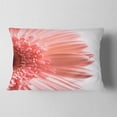 thumbnail image 2 of Designart Large Pink Daisy Flower Petals - Floral Throw Pillow - 12x20, 2 of 5