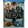 Fantastic Beasts and Where to Find Them Double Feature [Blu-ray]