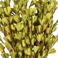 thumbnail image 2 of Simonart And Printing 24 Inch Artificial Green Bouquet, 10 Count, 2 of 3
