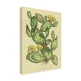 thumbnail image 2 of Wild Apple Portfolio 'Herbal Botanical XXIX' Canvas Art, 2 of 3