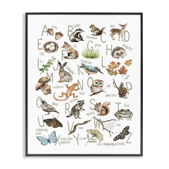 Stupell Industries Rustic Lodge Woodland Nature Alphabet Black Framed Giclee Art, 16 x 20, by Ziwei Li