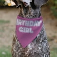 thumbnail image 4 of Buckle-Down Birthday Girl Text Pinks White Slip On Collar&nbsp;Bandana Only, 4 of 6