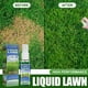 thumbnail image 5 of Fiudx Spray para Césped de Jardín, Solución Nutritiva Concentrada, Repara Zonas Secas, Revitaliza Fácilmente El Césped, Cuidado Del Césped Exterior, Perfecto para Céspedes Moteados, Botella de 30 Ml,, 5 of 7