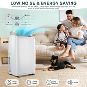 Portable Air Conditioner 12,000 BTU, Room AC with Cooling, Dehumidification, Fan 3 in 1,24 Hour Timer/Sleep Mode, Compact AC with Remote Control, Cools 550 Sq. Ft. for Room Garage