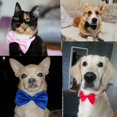 thumbnail image 5 of Collar para perros y gatos, correa ajustable para Collar para gatos, accesorios para perros, pajarita para perros, pajaritas para cachorros, suministros para mascotas, 5 of 5